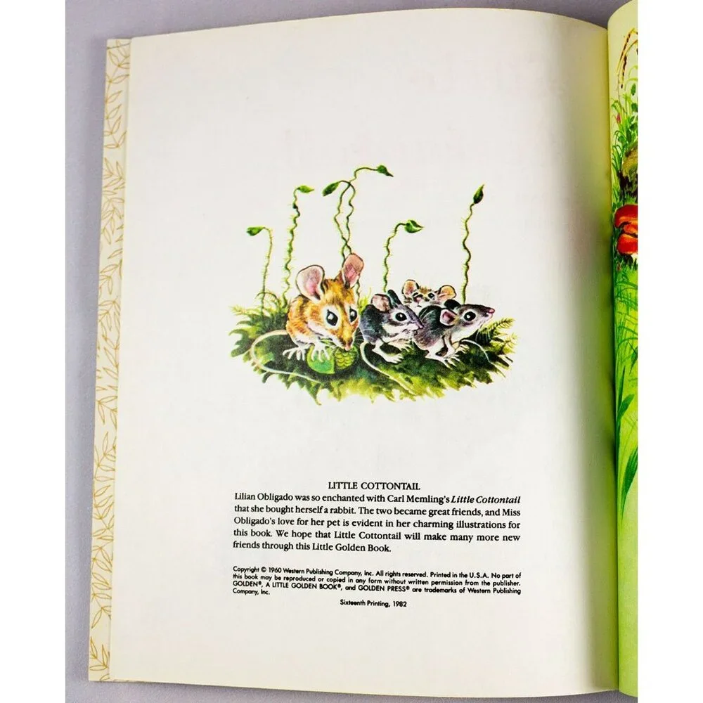 Little Cottontail A Little Golden Book Number 304-43 1982 16th Printing - Picture 4 of 10